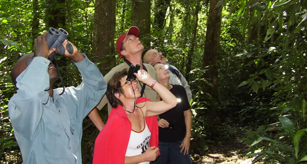 Forest Volunteers Uganda