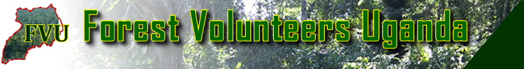 Forest Volunteers Uganda